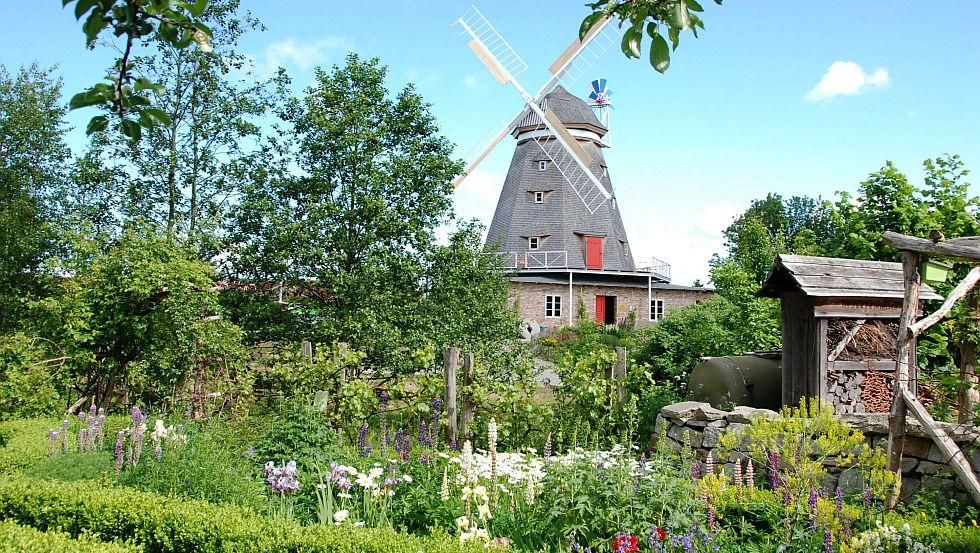 Dutch Windmill Stralsund Zoo