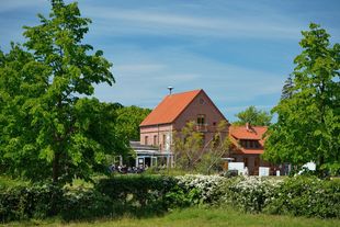 Darßer Arche