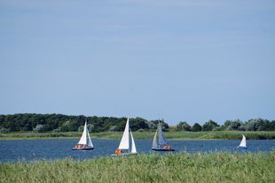 Fischländer Segelschule