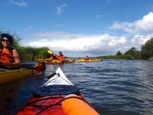 short rest wipe reed islands